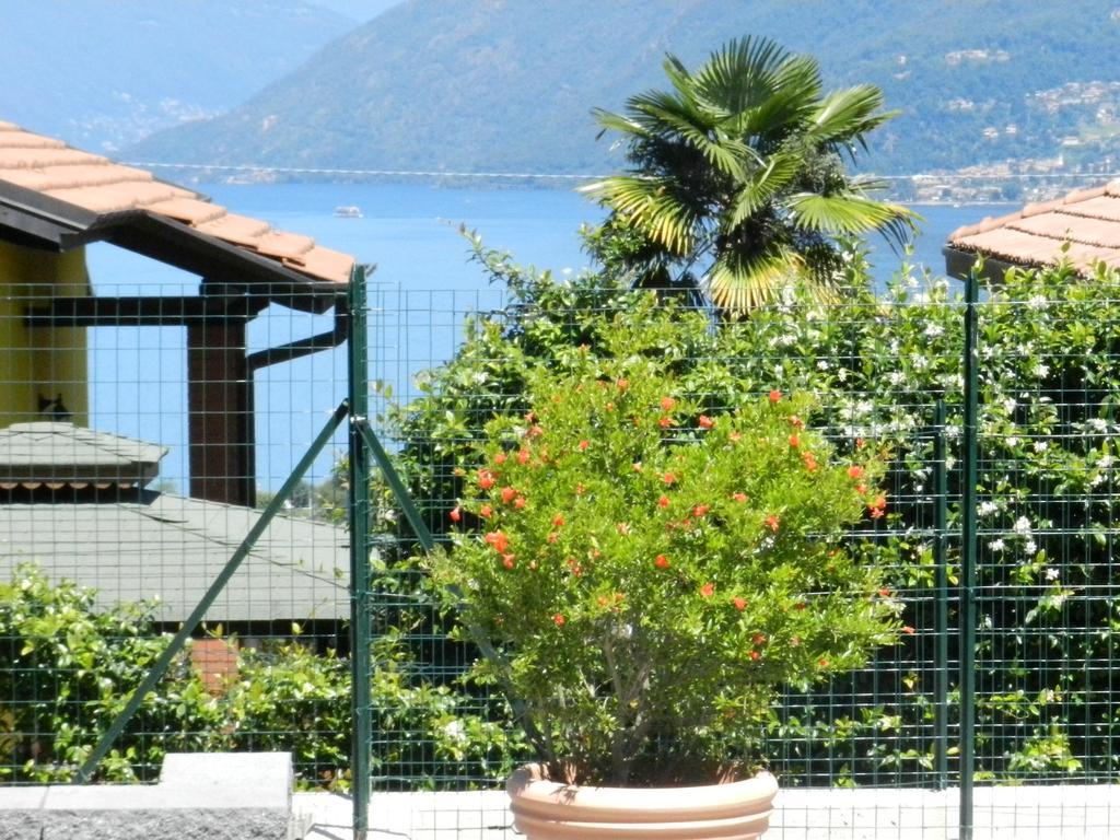 Casa Elena 1 Germignaga Exterior foto